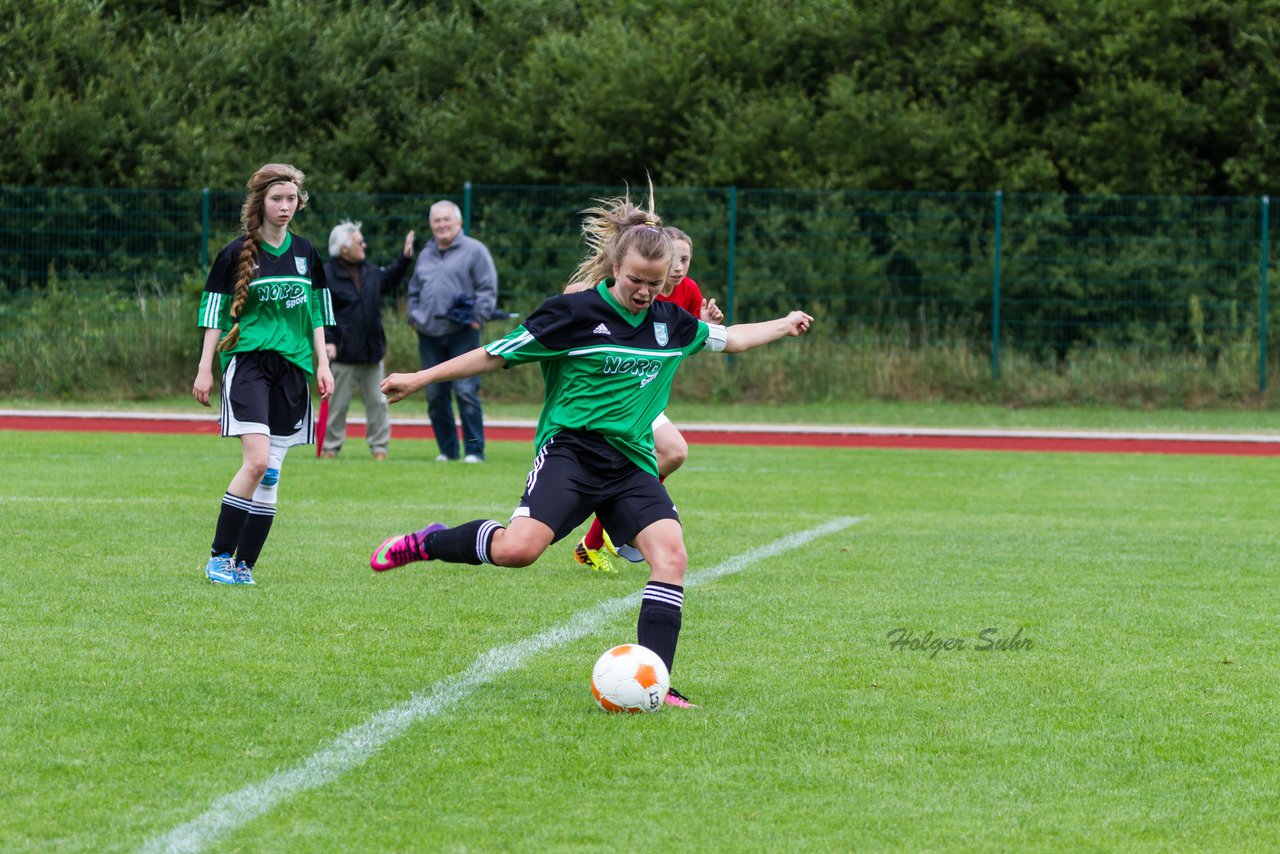 Bild 221 - C-Juniorinnen Landesmeister Finale SV Wahlstedt - TuRa Meldorf : Ergebnis: 1:4